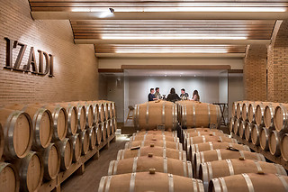 Bodega Izadi en Villabuena de Álava (Álava)