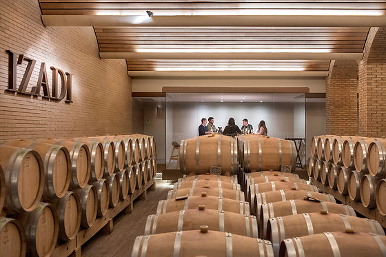 Bodega Izadi en Villabuena de Álava (Álava)