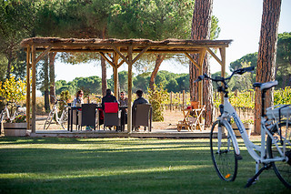 Una visita a viñedo en ebike y cata de vinos en bodega para 2 en Bodegas Izadi en Villabuena de Álava (Álava)