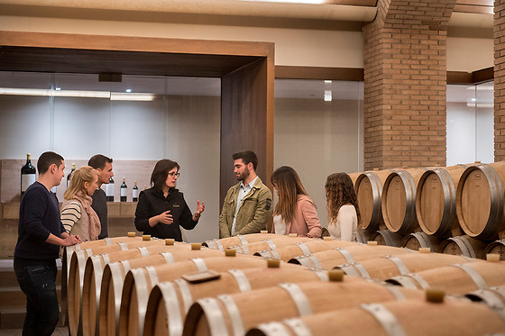 Bodega Izadi en Villabuena de Álava (Álava)