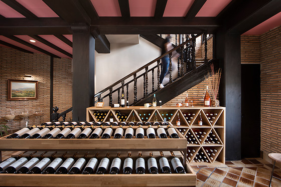 Bodega Izadi en Villabuena de Álava (Álava)