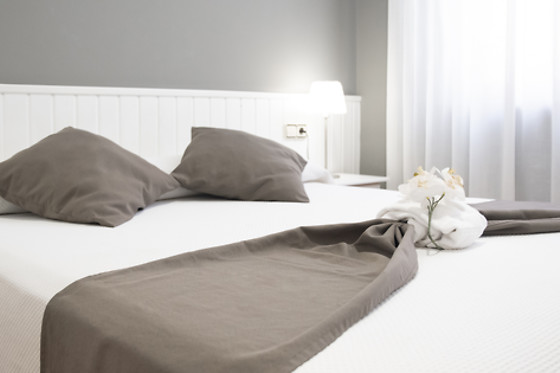 HOTEL ISABEL DE SEGURA - photo 7