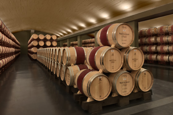 BODEGAS OSBORNE MONTECILLO - photo 4