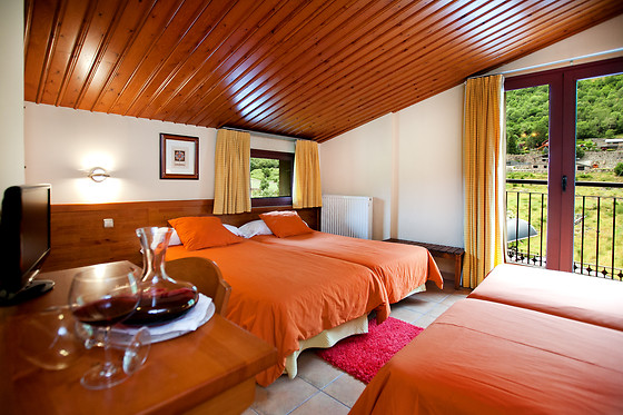 HOTEL MONTANÉ - photo 4