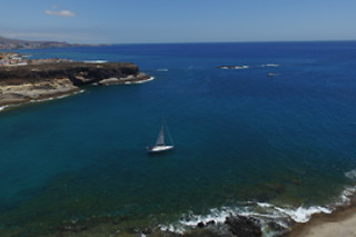 Excursión en velero exclusivo para avistamiento de cetáceos en Costa Adeje (Santa Cruz de Tenerife)