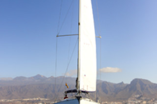Excursión en velero exclusivo para avistamiento de cetáceos en Costa Adeje (Santa Cruz de Tenerife)