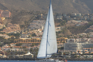 Excursión en velero exclusivo para avistamiento de cetáceos en Costa Adeje (Santa Cruz de Tenerife)