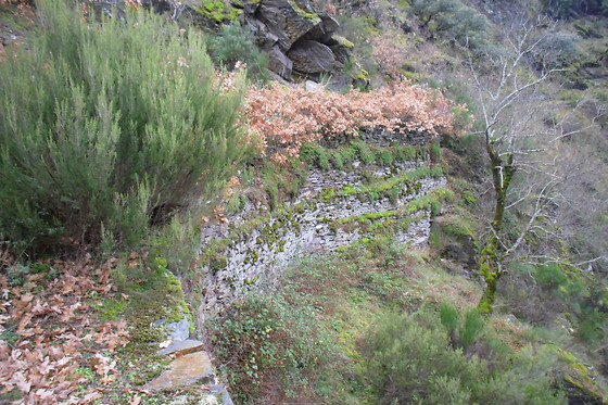 RUTAS XANZÁ - photo 2