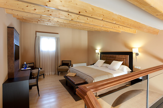 HOTEL PALACIO DE ARENALES & SPA - photo 26