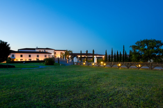 HOTEL PALACIO DE ARENALES & SPA - photo 20