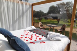 Una noche bajo las estrellas en una burbuja con hidromasaje exterior privado y desayuno en El Toril Glamping Experience en Velada (Toledo)