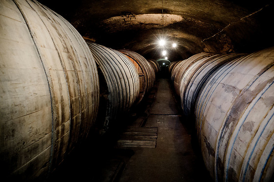 BODEGAS GRUPO RUBERTE - photo 0