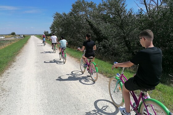 Original Vélo Tour - photo 10