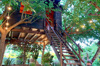 Una noche en Tree House con desayuno para 2 en Nature Tree House en Blanes (Girona)
