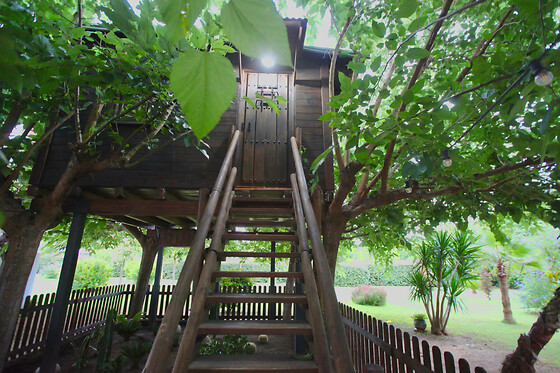 Una noche en Tree House con desayuno para 2 en Nature Tree House en Blanes (Girona)