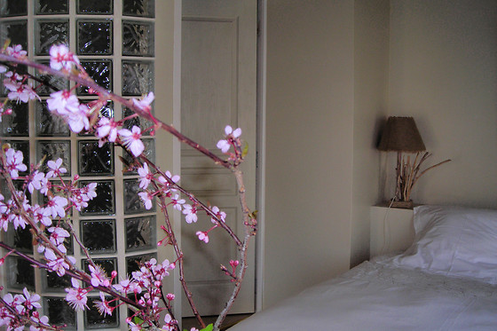 Le clos Sainte Anne - photo 1