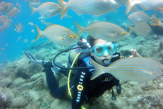Inmersión de buceo en Los Cristianos (Santa Cruz de Tenerife)