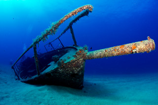 Inmersión de buceo en Los Cristianos (Santa Cruz de Tenerife)
