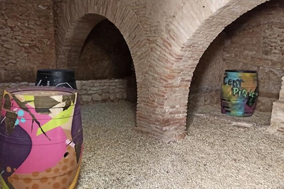 CENT PIQUES – BODEGAS VINADOS - photo 5