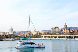 Una excursión nocturna para 1 en Mundo Marino Málaga en Málaga