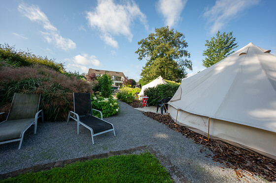 De Witte Merel & Hotel at home - photo 0
