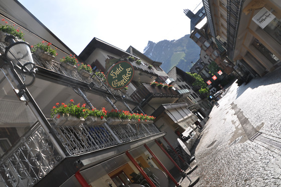 Hotel Engelberg - photo 5