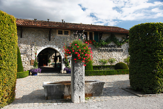 Domaine de Châteauvieux**** - photo 4