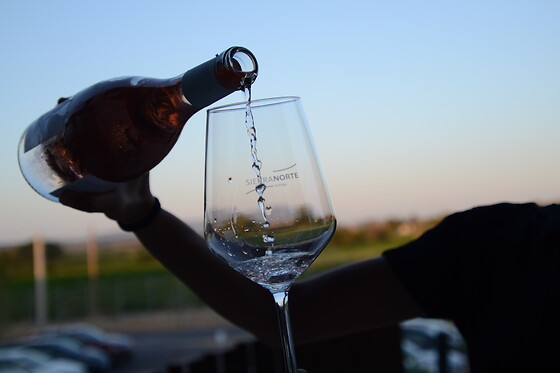 Una visita con cata para 2 en Bodega Sierra Norte en La Roda (Albacete)