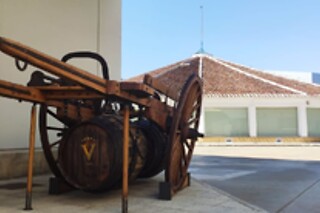 Una experiencia de vendimia 360º para 2 en Virgen de las Viñas en Tomelloso (Ciudad Real)