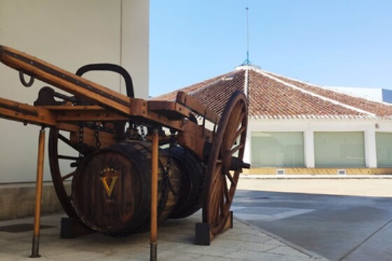 Una experiencia de vendimia 360º para 2 en Virgen de las Viñas en Tomelloso (Ciudad Real)