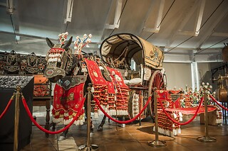 Una experiencia de vendimia 360º para 2 en Virgen de las Viñas en Tomelloso (Ciudad Real)