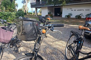 Un tour privado con delivery en bicicleta classic para 2 en Delivery Bikes BCN en Calella (Barcelona)