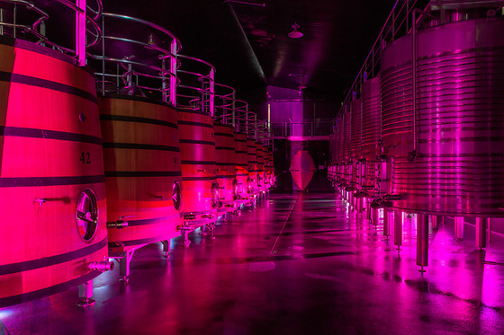 Bodega Regina Viarum 