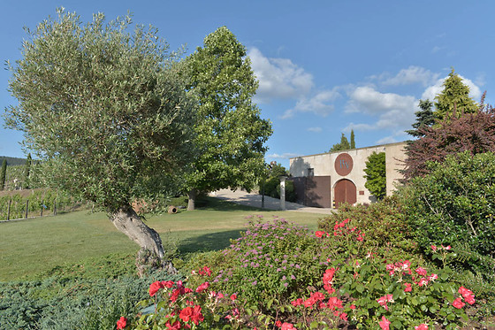 Bodega Regina Viarum 