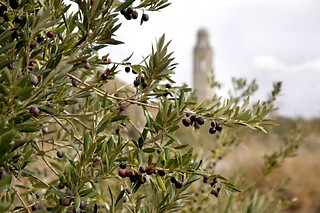 Mas Fogonussa en Sant Marti de Riucorb (Lleida)