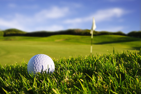 HOTEL ALICANTE GOLF - photo 5