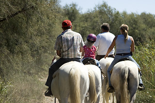 Aventura & Familia