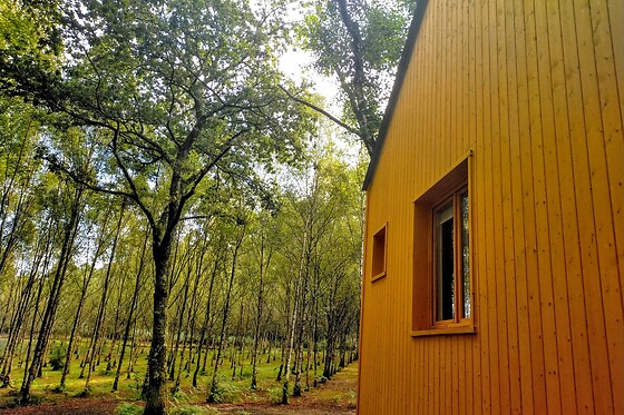 Dos noches con experiencia bienestar para 2 en Cabanas de Ulla en Touro (A Coruña)