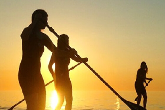Un crucero compartido en velero con Cava & Snacks para 1 en Tur Tur Experience en Barcelona