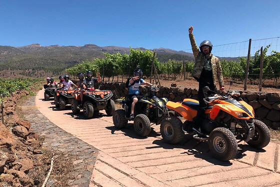 Una experiencia Teide Park tour para 1 en Quad Squad Tenerife en Arona (Santa Cruz de Tenerife)
