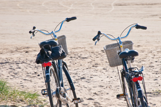 Alquiler de dos bicicletas en Valencia