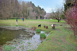 Le domaine des terres du Thil