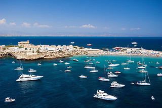 Inmersión con guía en en la Reserva Marina Isla de Tabarca (Alicante)