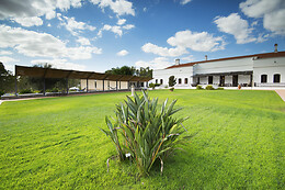 Alentejo Star Hotel****