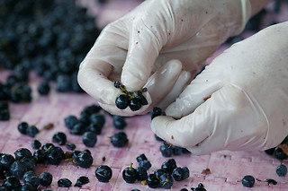 Bodega Comenge en Curiel del Duero (Valladolid)