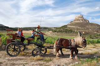 Bodega Comenge en Curiel del Duero (Valladolid)