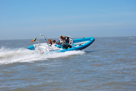 Wavefun - photo 0