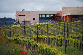 Bodega Comenge en Curiel del Duero (Valladolid)