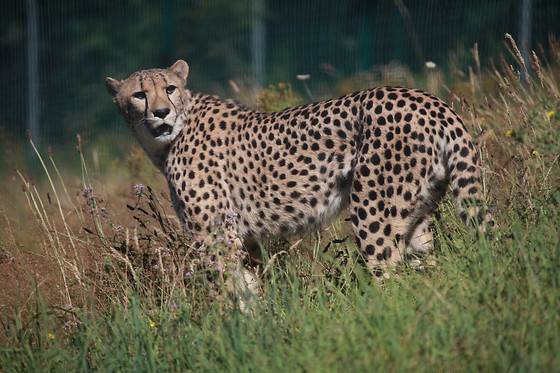 Zoo des 3 vallées - photo 1