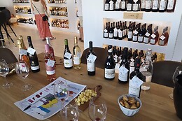 Wines&Co